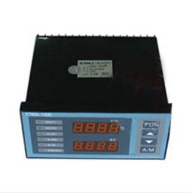 XMZA-135数字显示仪
